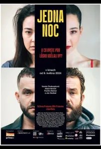 Одна ночь (фильм 2024)