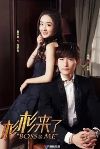 Босс и Я / Пора кушать, Шань Шань (сериал 2014)